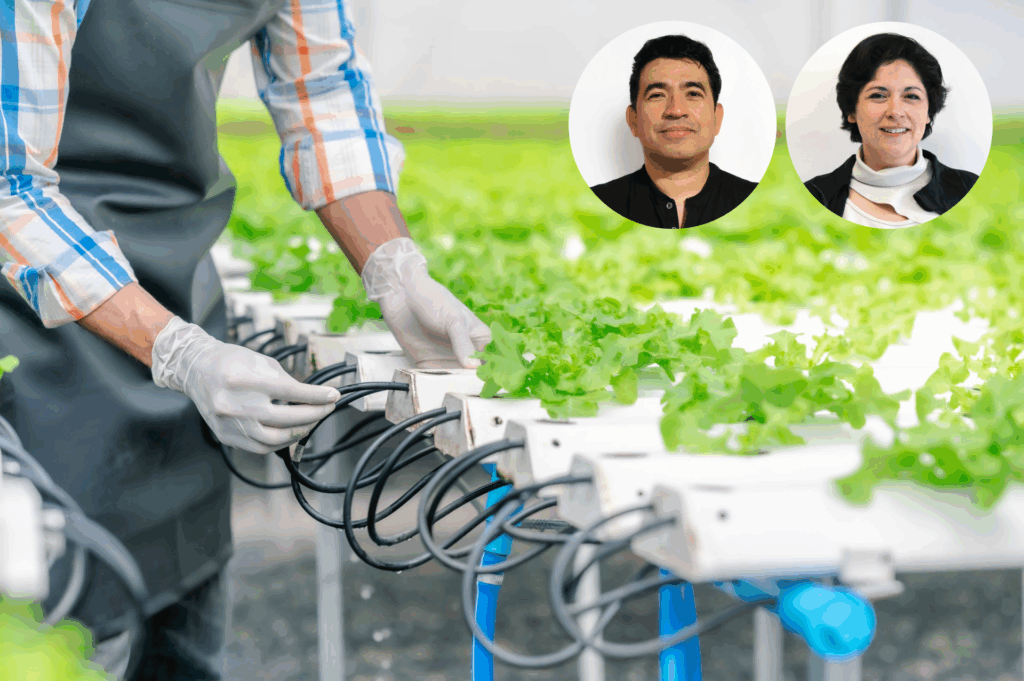 Académicos de Ingeniería Industrial adjudican importante proyecto Anillo sobre alimentos, sostenibilidad y justicia social